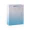 Color Gradient Glittering Cardboard Paper Gift Bags with 4 designs assorted