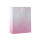 Color Gradient Glittering Cardboard Paper Gift Bags with 4 designs assorted