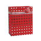 New Products Unique Design Paper Birthday Gift bag  with 4 Designs Assorted