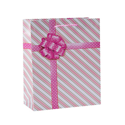 Custom Printed Diagonal Stripe Paper Shopping Gift Bags