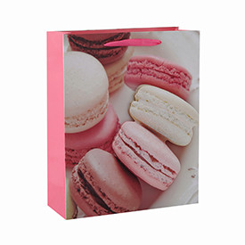Fashionable Custom printed macaroon paper bags with ribbon handle