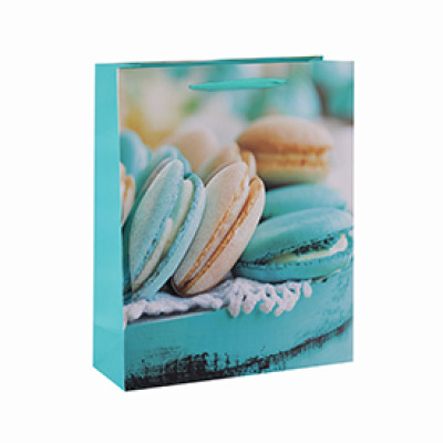 Fashionable Custom printed macaroon paper bags with ribbon handle