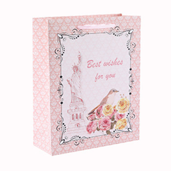 Best Wishes For You Flower and Bird Style Gift Paper Bag with 4 Designs Assorted