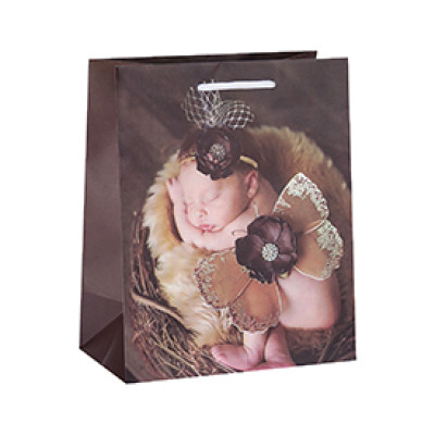 Custom Printing Decorative Luxury Baby Gift Brown Paper Bags