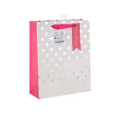 Factory Price Fancy Design Valentine's Day China Paper Bags with Hang Tag