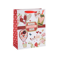 Heart Style Valentine's Day Gift Paper Bag with Custom Logo with Hang Tag with Different Size