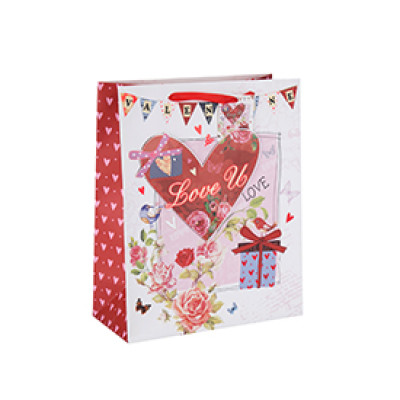 Heart Style Valentine's Day Gift Paper Bag with Custom Logo with Hang Tag with Different Size