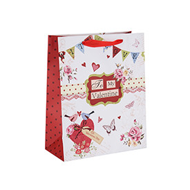 Heart Style Valentine's Day Gift Paper Bag with Custom Logo with Hang Tag with Different Size