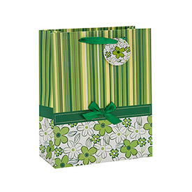 Custom Printed Everyday Packaging Paper Bag with Hang Tag with 4 Designs Assorted