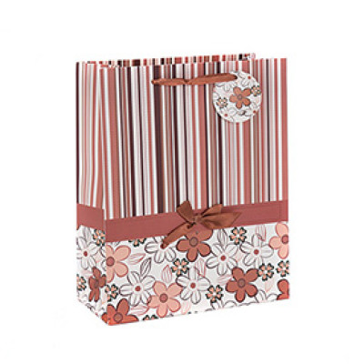 Custom Printed Everyday Packaging Paper Bag with Hang Tag with 4 Designs Assorted