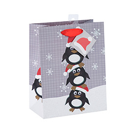 Christmas New Design Crafts Printed Paper Bag with Different Size with 2 Designs Assorted