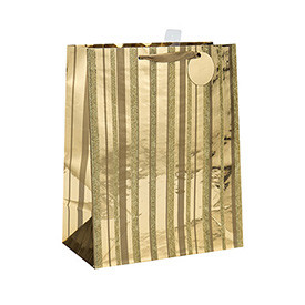 Ribbon Handles Custom Design Own Logo Print Daily Paper Bag with Hang Tag with Different Sizes