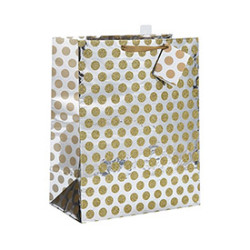 Custom Ribbon Handle Excellent Design Paper Bag with Different Size with 2 Designs Assorted