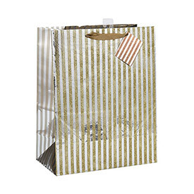 Custom Ribbon Handle Excellent Design Paper Bag with Different Size with 2 Designs Assorted