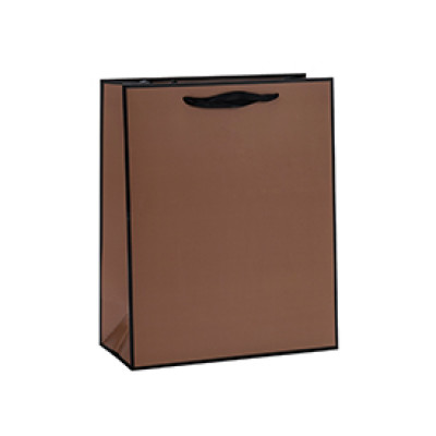 Solid Color Simple Everyday Gift Paper Bags With Black Border