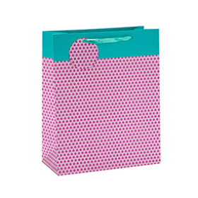 Everyday Fashionable Foldable Ribbon Handle Gift Paper Bag with Paper Tag