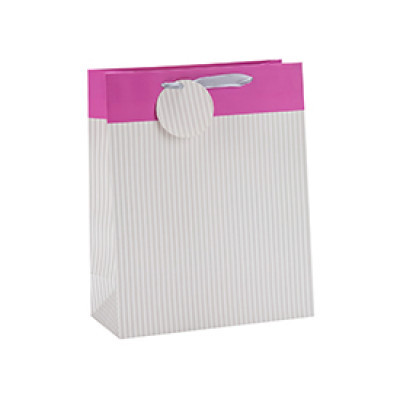 Everyday Fashionable Foldable Ribbon Handle Gift Paper Bag with Paper Tag