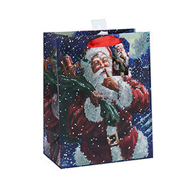Lovely Christmas Fancy Design Printed Decoration Gift Paper Bag with 3 Designs Assorted