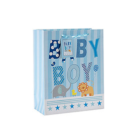 Baby Boy&Baby Girl Cute Custom Daily Paper Bag with 4 Designs Assorted