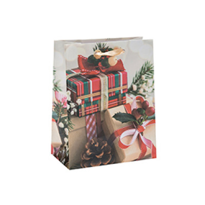 Custom Printed Premium Seasonal Christmas Paper Packing Bag with 4 Designs Assorted