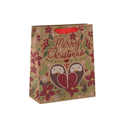 Wholesale Customized Various Sizes Unique Design Paper Gift Bag with 2 Designs Assorted