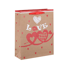 High Quality New Design Boutique Valentine's Day Paper Gift Bags with 4 Designs Assorted