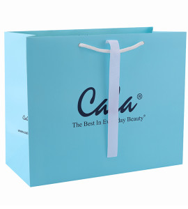 Custom Decorative Offset Printing Luxury Gift Cardboard Paper Bag With Logo