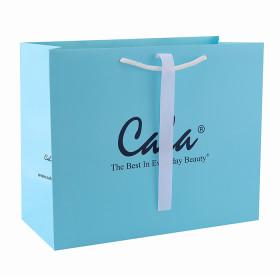 Custom Decorative Offset Printing Luxury Gift Cardboard Paper Bag With Logo
