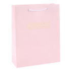 Customized 2 Pantone Color Printing Paper Bags With Logo Gold Foil Stamping On Both Sides