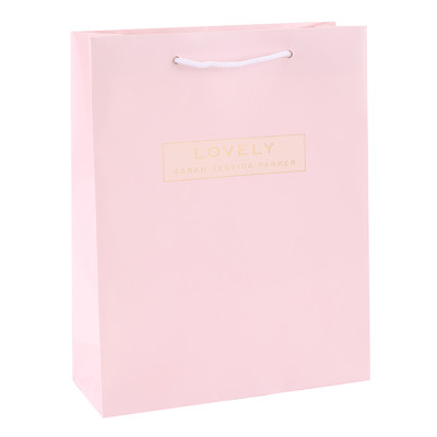 Customized 2 Pantone Color Printing Paper Bags With Logo Gold Foil Stamping On Both Sides