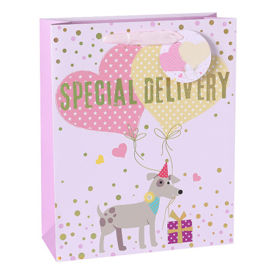 Colorful Ladies Birthday Gift Bags Paper Shopping Bags Bestsellers And Wholesales