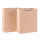 Ecofriendly 250GSM Brown Kraft Paper Bags With Wholesale Prices