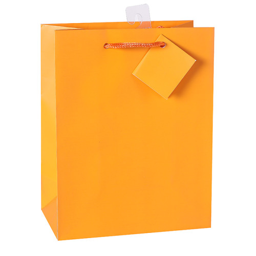 Colored Printed Paper Gift Bags With Hangtag and Pvc Hook At Wholesale Prices