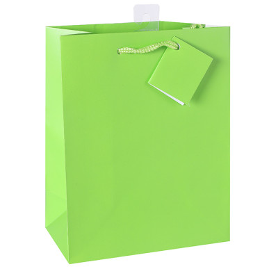 Colored Printed Paper Gift Bags With Hangtag and Pvc Hook At Wholesale Prices