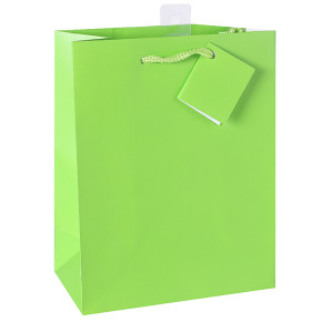 Colored Printed Paper Gift Bags With Hangtag and Pvc Hook At Wholesale Prices