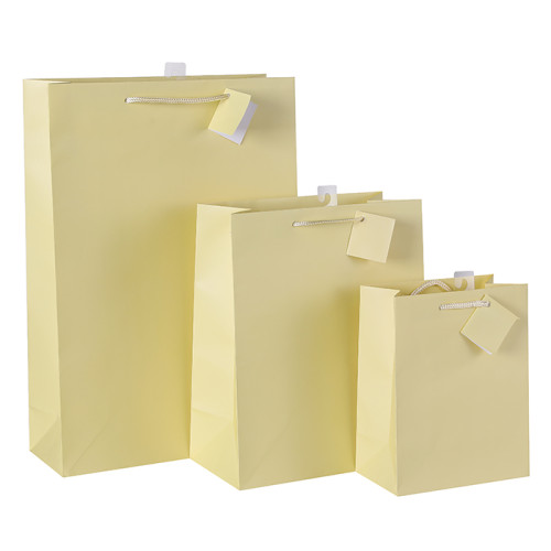Customize Your Own Soild Color Paper Shopping Bags Paper Gift Bags