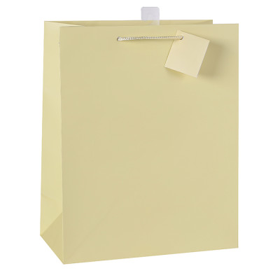 Customize Your Own Soild Color Paper Shopping Bags Paper Gift Bags