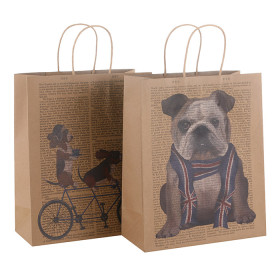 Custom Designed Brown Kraft Paper Carrier Bags With Paper Twisted Handles