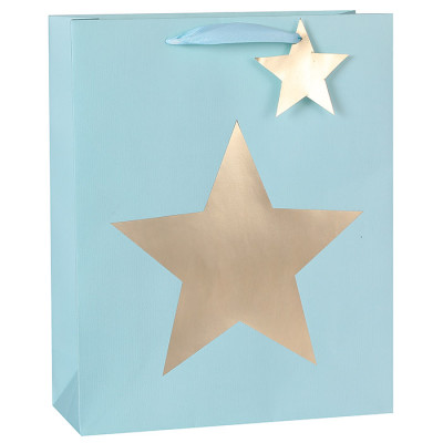 Men's Everyday Paper Carrier Bags With Texture and Star Hot Foil Stamping On Front Side
