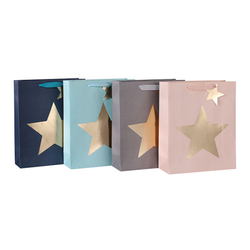 Men's Everyday Paper Carrier Bags With Texture and Star Hot Foil Stamping On Front Side