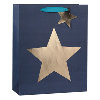 Men's Everyday Paper Carrier Bags With Texture and Star Hot Foil Stamping On Front Side