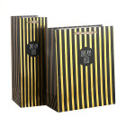 Dream Big Gold Foil Stamping Art Paper Shopping Bags Yiwu Direct Factory Made
