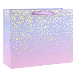 2019 New Everyday Customized Paper Shopping Bags Horizental Shaped With Hot Foil Stamping On Front Side