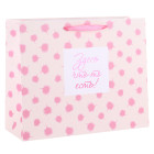 2019 Customized Paper Gift Bags Vertical & Horizental Shaped With Hot Foil Stamping On Front Side