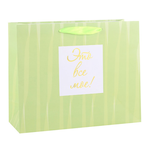 2019 Customized Paper Gift Bags Vertical & Horizental Shaped With Hot Foil Stamping On Front Side