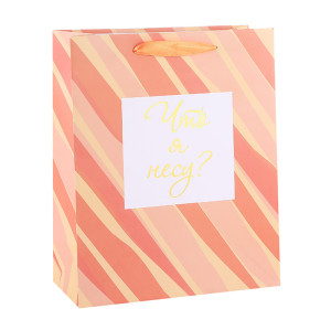 2019 Customized Paper Gift Bags Vertical & Horizental Shaped With Hot Foil Stamping On Front Side