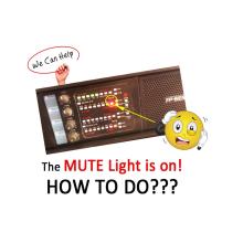 How To Do When The Amplifier MUTE Lights turn On?