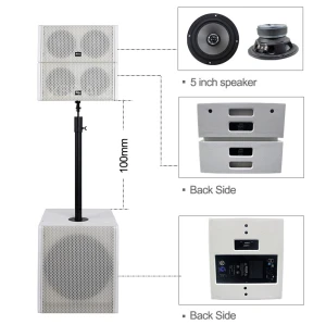 Mini line array Professional Sound System Double 5 inch coaxial Speaker Passive
