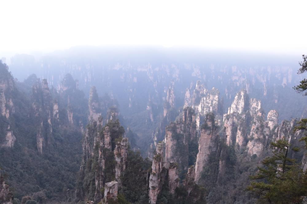 Turismo en Sinosen Zhangjiajie