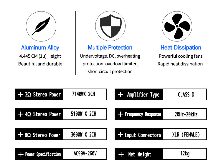 D2-3000 digital amplifier